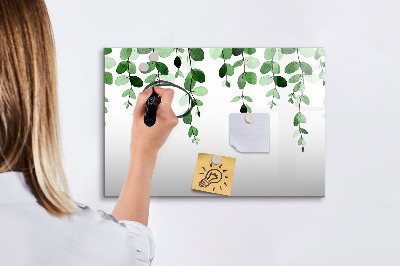 Dry erase board magnetic Green leaves and photos on the wall
