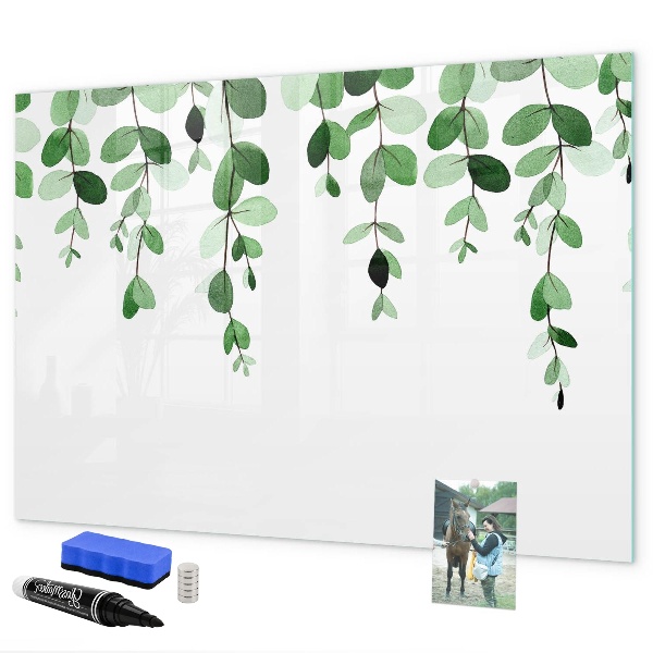 Dry erase board magnetic Green leaves and photos on the wall