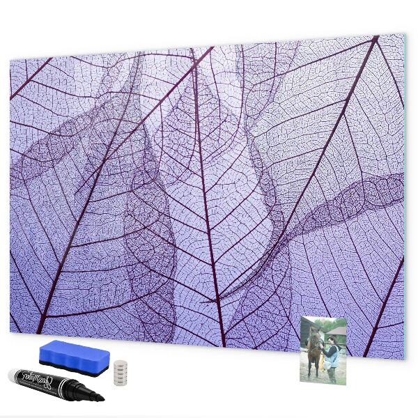 Dry erase board magnetic Creative photo display board