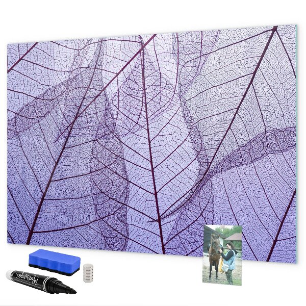 Dry erase board magnetic Creative photo display board