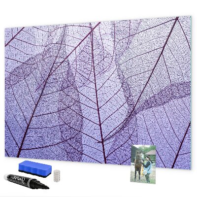 Dry erase board magnetic Creative photo display board