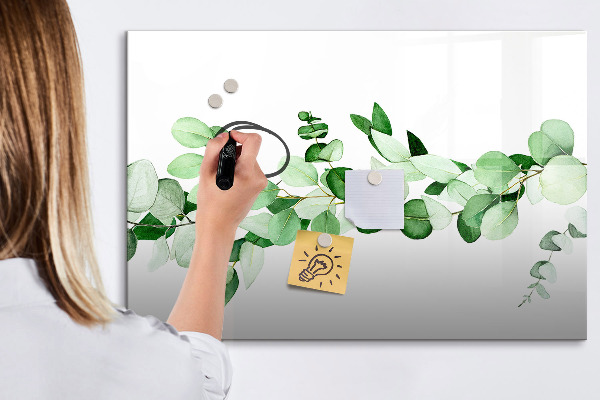 Magnetic dry erase board Green board for photos and notes