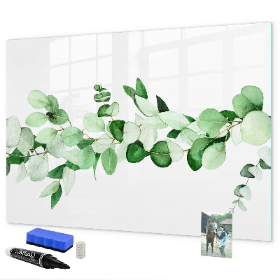 Magnetic dry erase board Green board for photos and notes