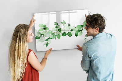Magnetic dry erase board Green board for photos and notes