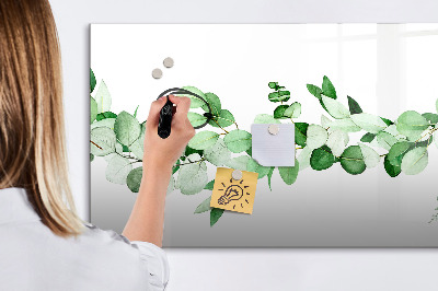 Magnetic dry erase board Green board for photos and notes