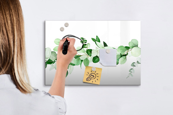 Magnetic dry erase board Green board for photos and notes