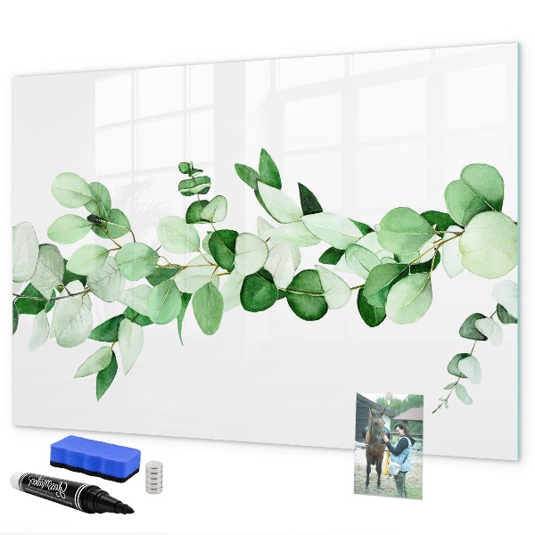 Magnetic dry erase board Green board for photos and notes
