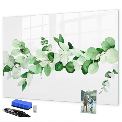 Magnetic dry erase board Green board for photos and notes