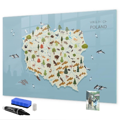 Dry erase board magnetic Nature map of Poland with places for photos