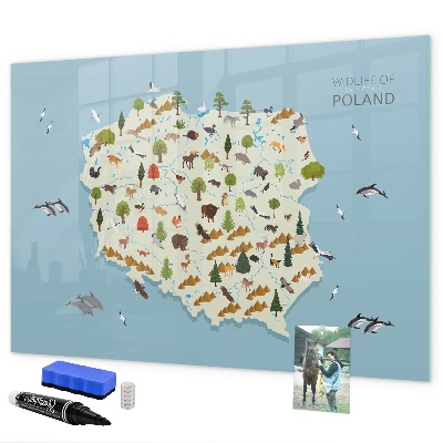Dry erase board magnetic Nature map of Poland with places for photos