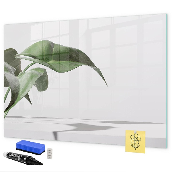 Magnetic dry erase board Plants and memories on the wall