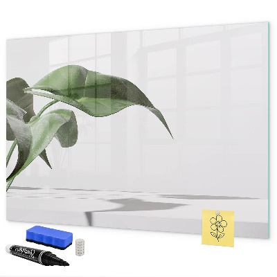 Magnetic dry erase board Plants and memories on the wall