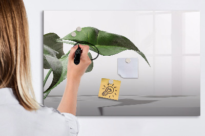 Magnetic dry erase board Plants and memories on the wall