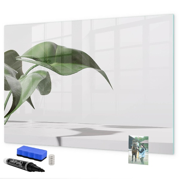 Magnetic dry erase board Plants and memories on the wall