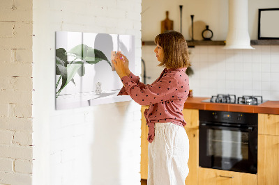 Magnetic dry erase board Plants and memories on the wall