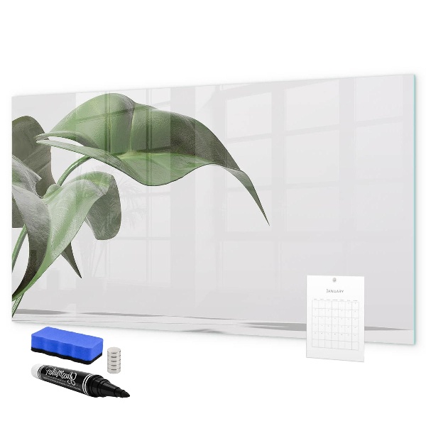 Magnetic dry erase board Plants and memories on the wall