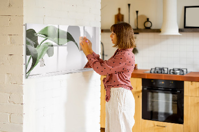 Magnetic dry erase board Plants and memories on the wall