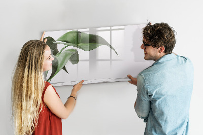 Magnetic dry erase board Plants and memories on the wall