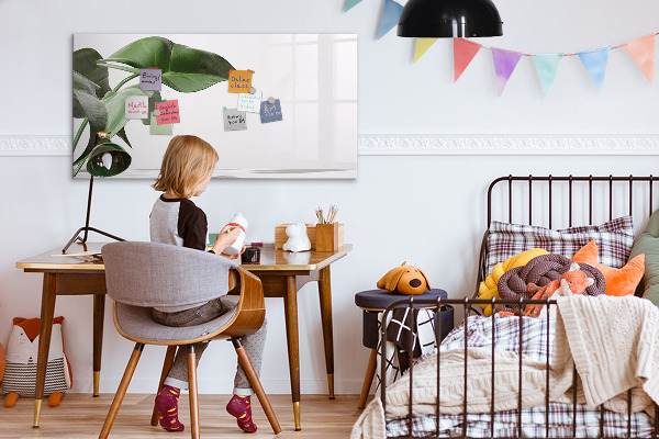 Magnetic dry erase board Plants and memories on the wall