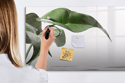 Magnetic dry erase board Plants and memories on the wall