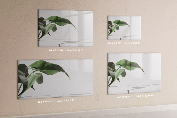 Magnetic dry erase board Plants and memories on the wall