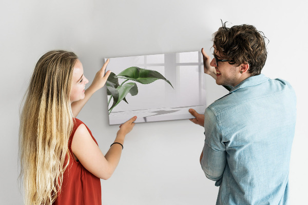 Magnetic dry erase board Plants and memories on the wall