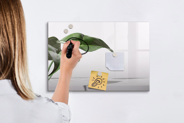 Magnetic dry erase board Plants and memories on the wall