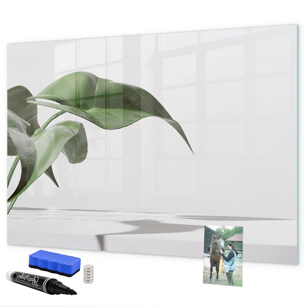 Magnetic dry erase board Plants and memories on the wall