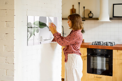 Magnetic dry erase board Plants and memories on the wall