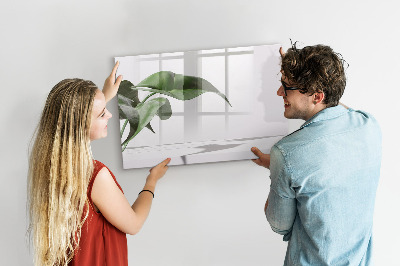 Magnetic dry erase board Plants and memories on the wall