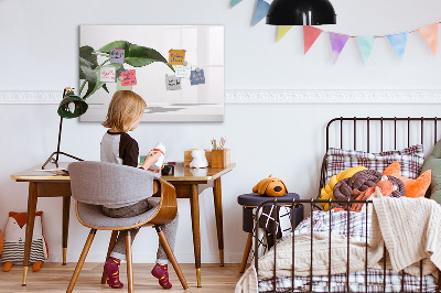 Magnetic dry erase board Plants and memories on the wall