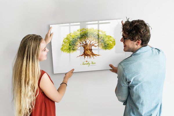 Dry erase board magnetic Family tree with space for photos