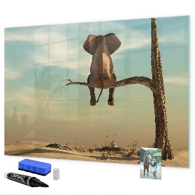 Dry erase board magnetic Elephants and memories on the wall