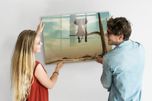 Dry erase board magnetic Elephants and memories on the wall