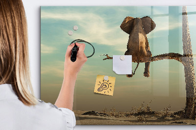 Dry erase board magnetic Elephants and memories on the wall