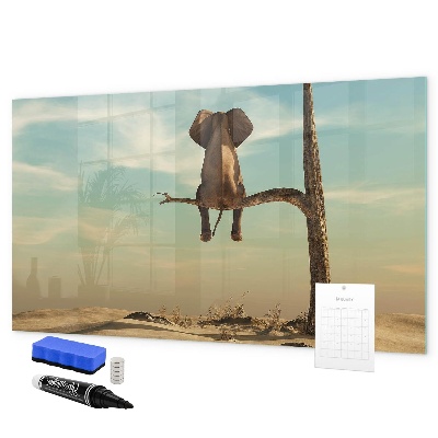 Dry erase board magnetic Elephants and memories on the wall