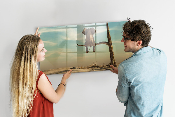 Dry erase board magnetic Elephants and memories on the wall