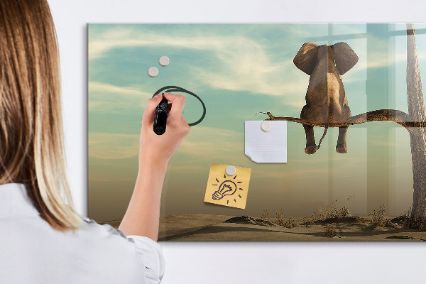 Dry erase board magnetic Elephants and memories on the wall