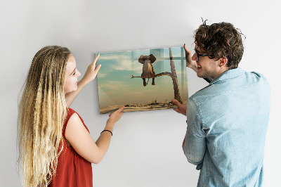 Dry erase board magnetic Elephants and memories on the wall