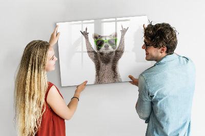 Magnetic dry erase board Happy raccoon with pictures