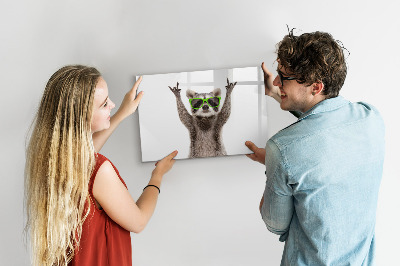 Magnetic dry erase board Happy raccoon with pictures