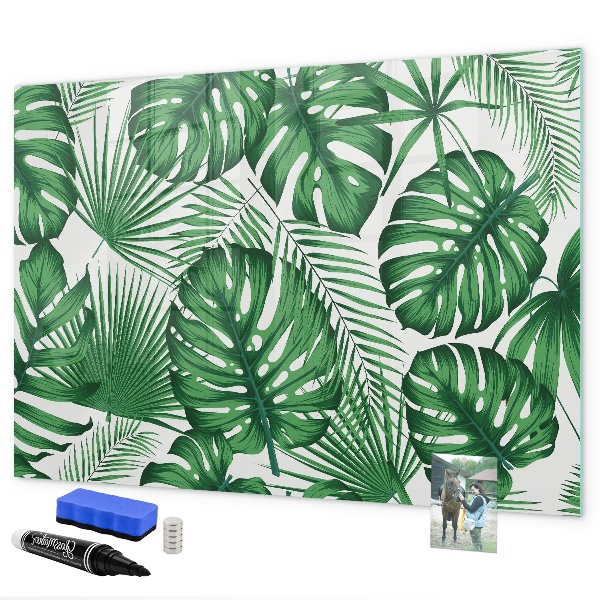 Magnetic dry erase board Green board for photos and notes
