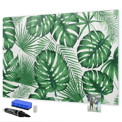 Magnetic dry erase board Green board for photos and notes
