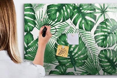 Magnetic dry erase board Green board for photos and notes