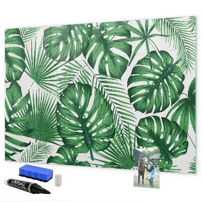 Magnetic dry erase board Green board for photos and notes
