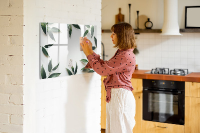 Dry erase board magnetic Stylish memo board with plants