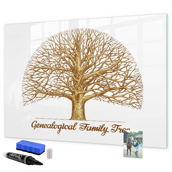 Dry erase board magnetic Family tree with space for photos