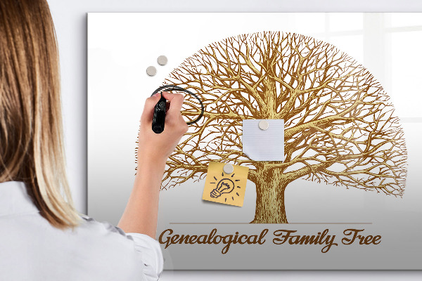 Dry erase board magnetic Family tree with space for photos