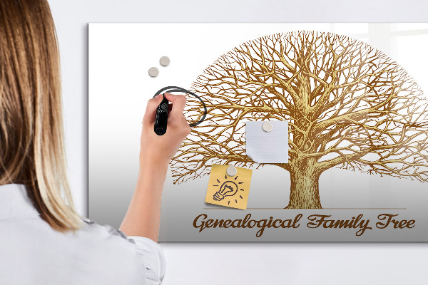Dry erase board magnetic Family tree with space for photos