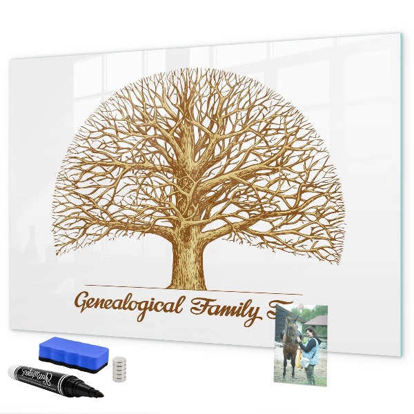 Dry erase board magnetic Family tree with space for photos
